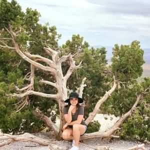 Meet your Posher, Windy mindy